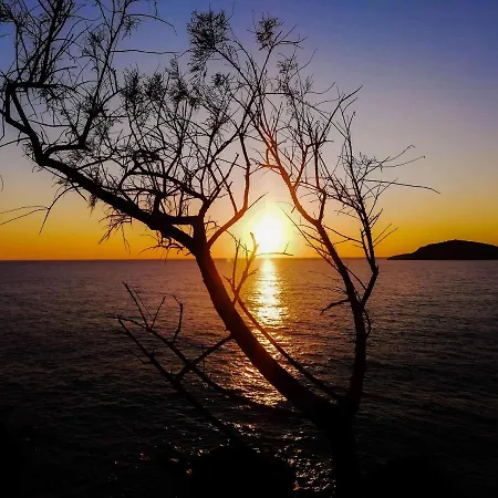 Apartment Odyssey By Climbing House Myrties