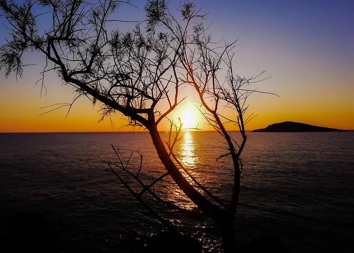 Apartamento Odyssey By Climbing House Myrties